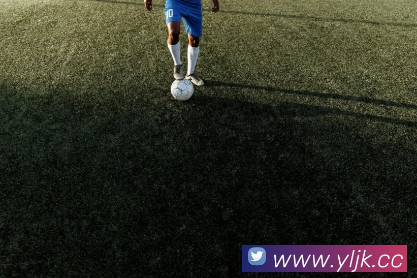 女排世界杯2019赛程公布中国队对阵日程及关键场次影响出线形势